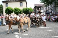 IMG_6152 (2) 